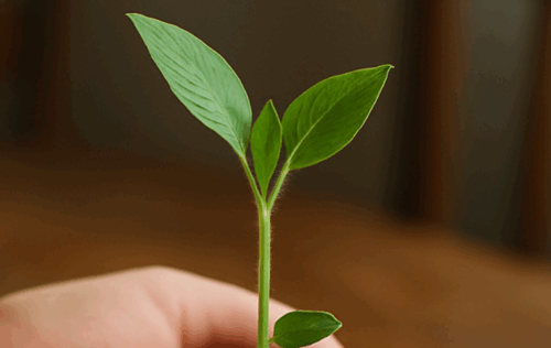 Field-Tested Blog Post